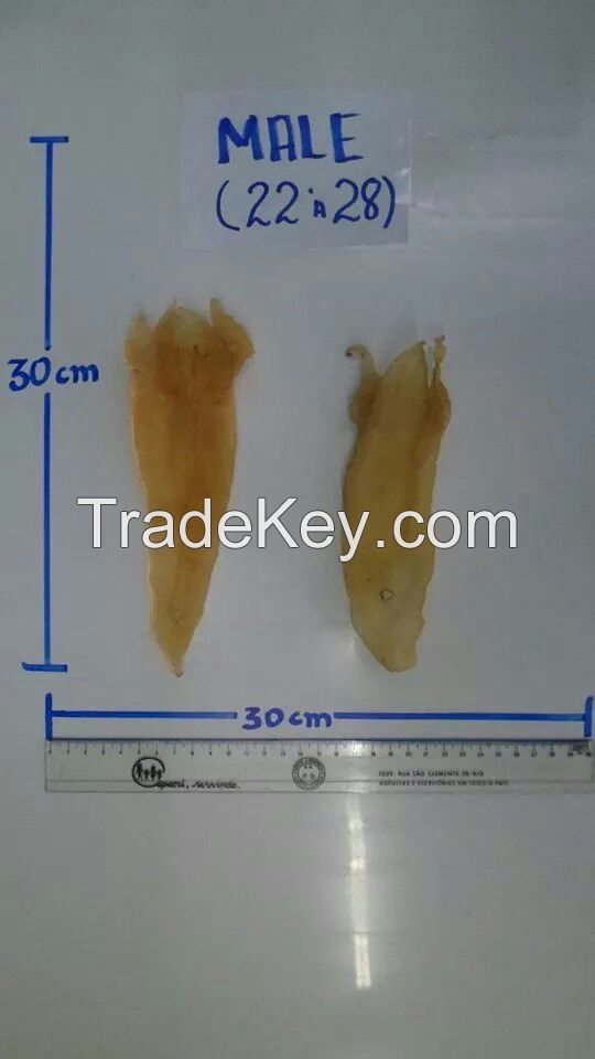 Pescada Amarela Fish Maw 