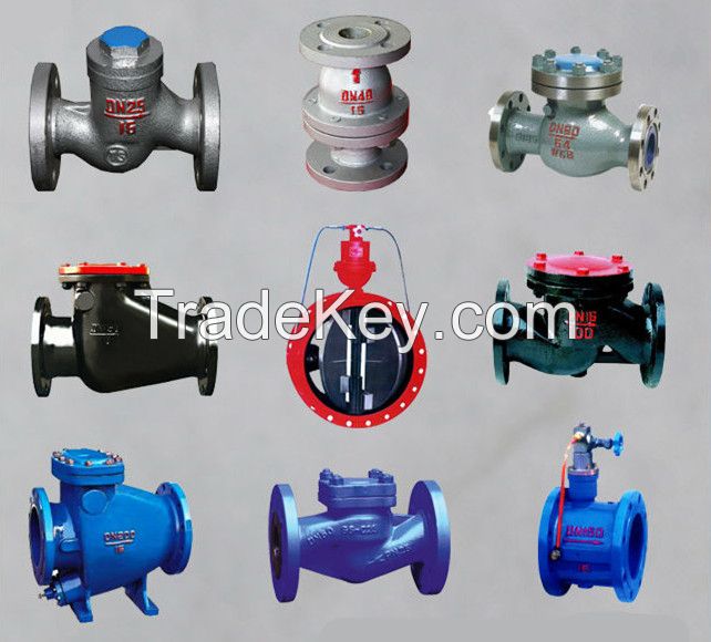 Swing check valve, alloy check valve