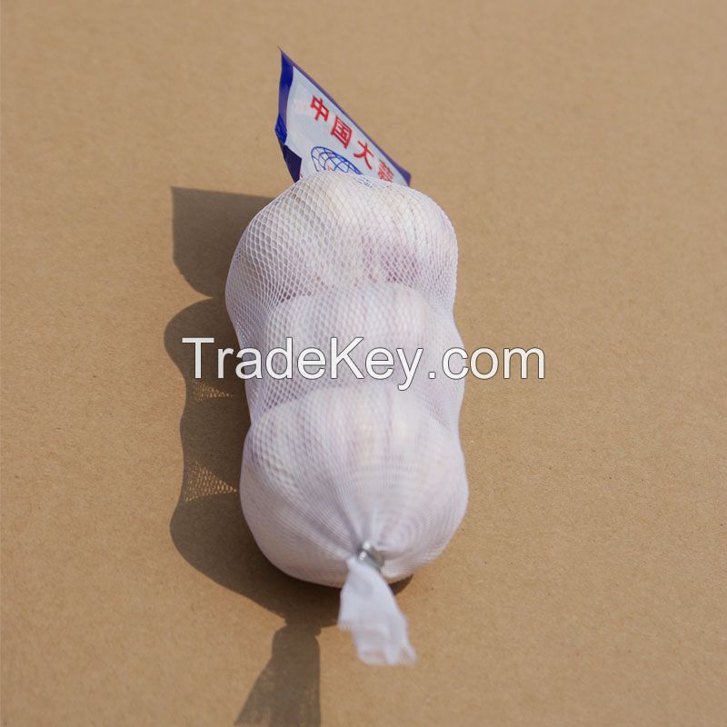 PE garlic mesh bag/small fruit mesh bag/vegetable mesh bag 