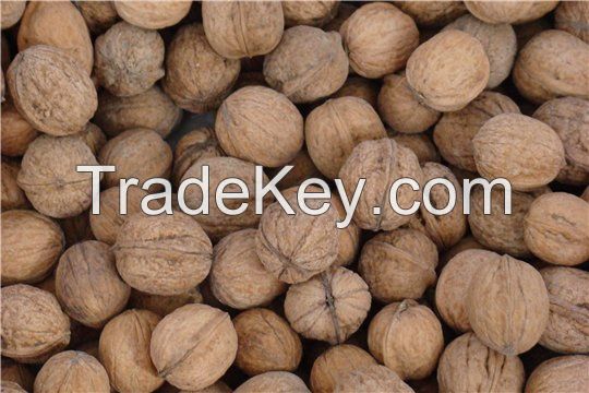 Walnuts