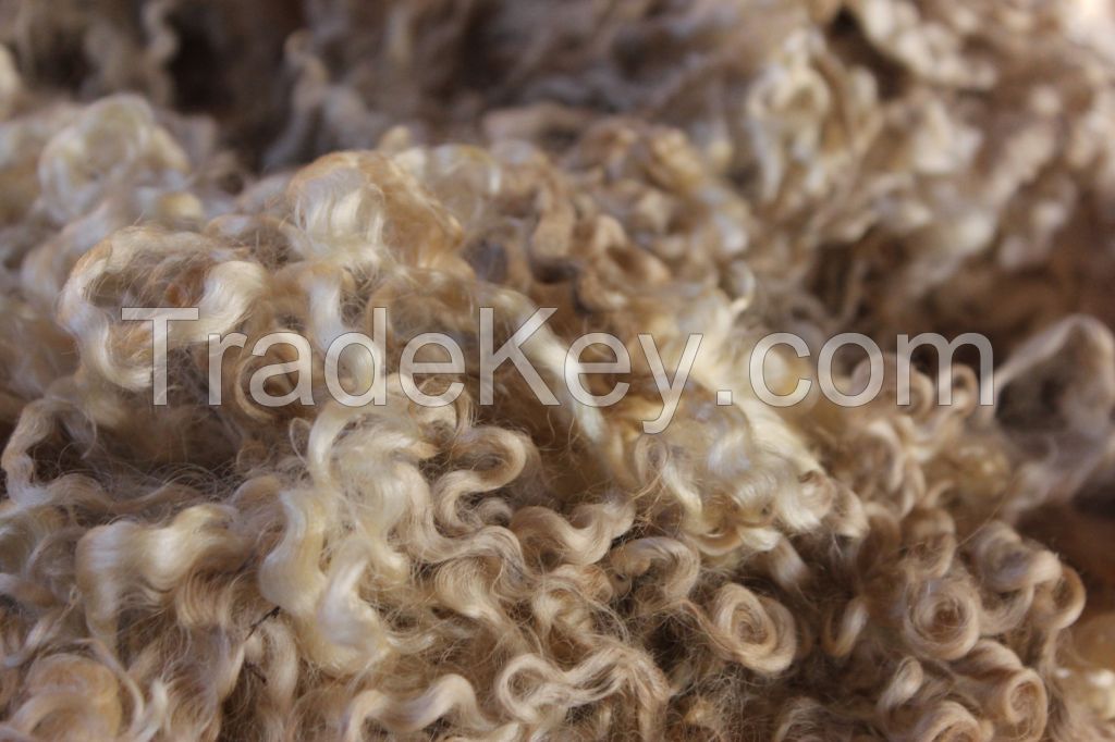 Raw Wool