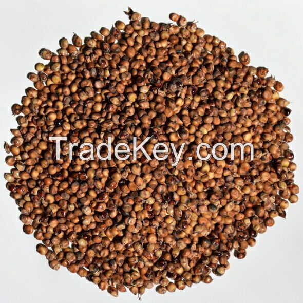 Red Sorghum