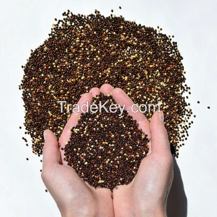 Black Millet 