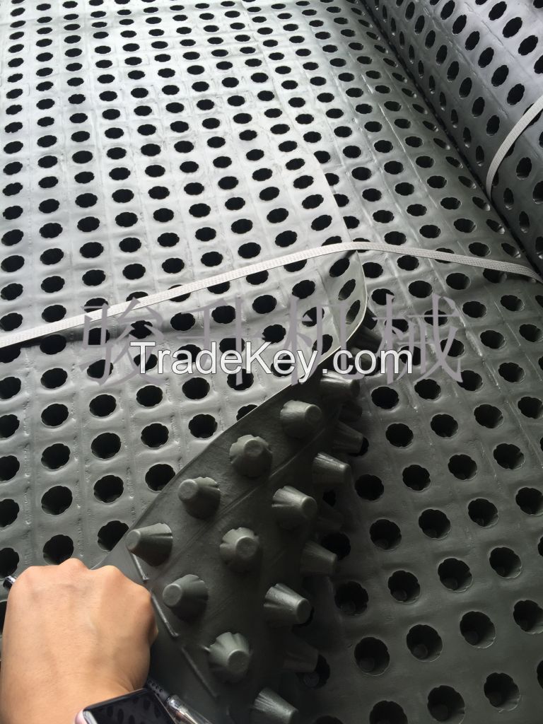 HDPE waterproof draining plate