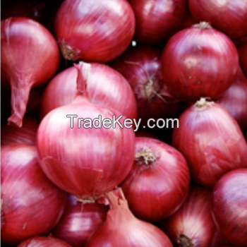 High Quality Fresh Red Onions (Calcium 2%)