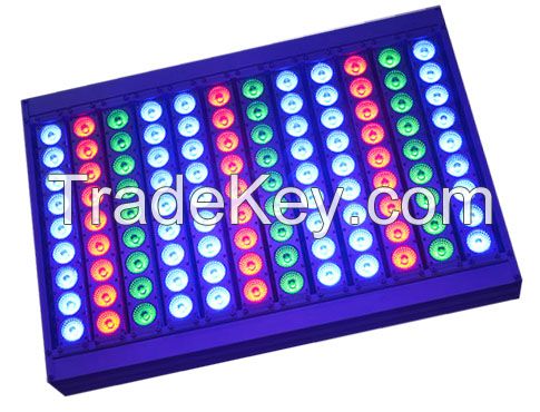 OAKLED RGB Light 100-1000W