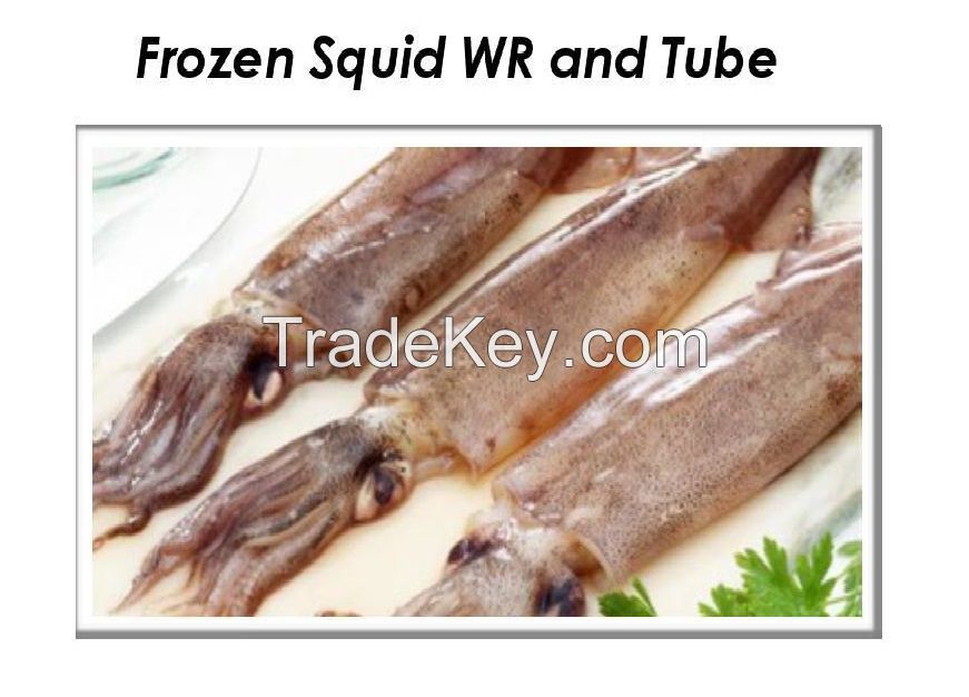 Frozen squid