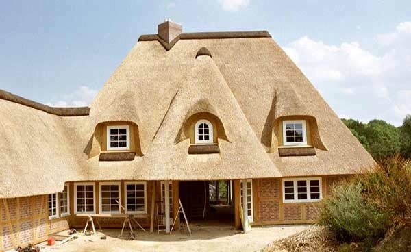 wooden houses with  cane roof