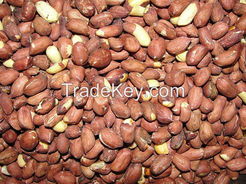 Grade A High Quality Peanut from Nigeria