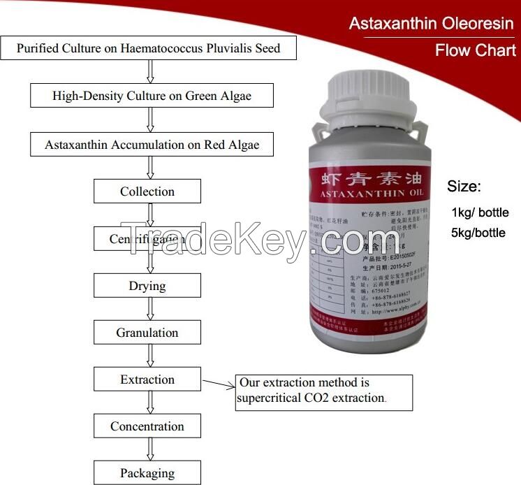 100% Natural Astaxanthin Powder, Haematococcus pluvialis Powder, Plant Extract, Anti-oxidant