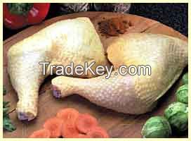 PROCESSED HALAL FROZEN CHICKEN QUARTER LEGS/ WHOLE CHICKEN/GRADE A CHICKEN