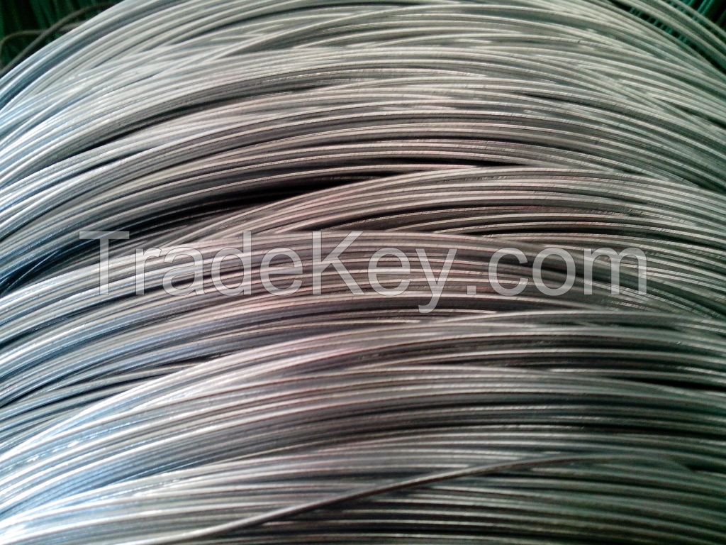 Galvanized Wire