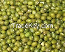 Mung Beans