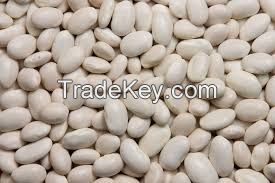 White kidney Beans