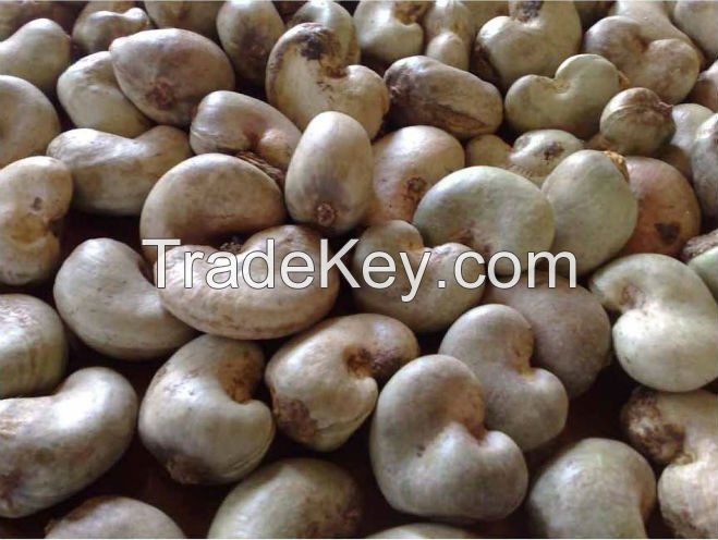 Raw Cashew Nuts