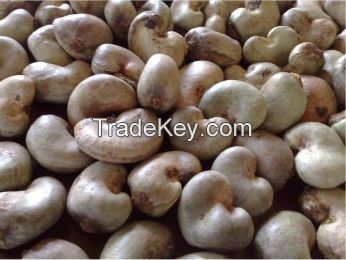 Cashew Nut