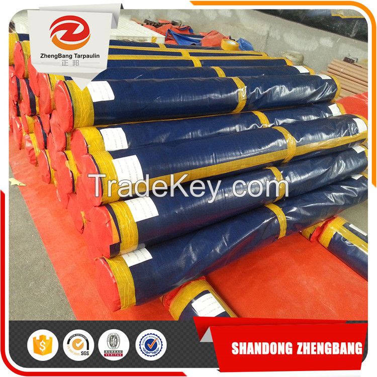 Anti-aging PE tarpaulin Roll | Plastic PE tarpaulin in Rolls