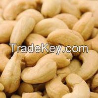 Cashew Nut