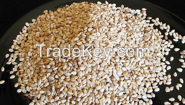 Hulled Sesame Seeds for Sale