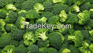 Fresh Broccoli