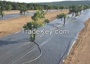 HOT SALE UV treated pp weed control cloth used for landscape ground cover