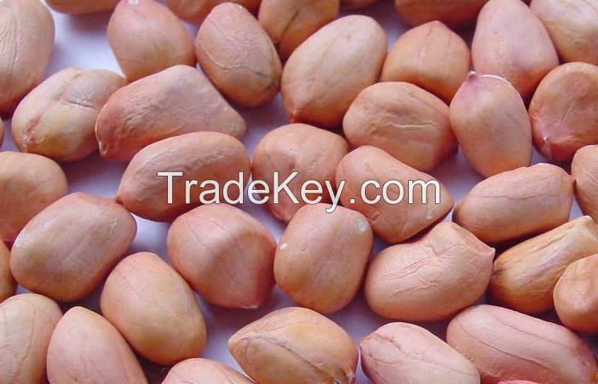 Raw Groundnut