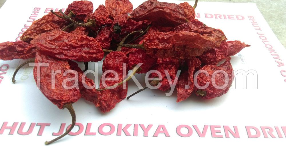 Bhut Jolokia pepper 