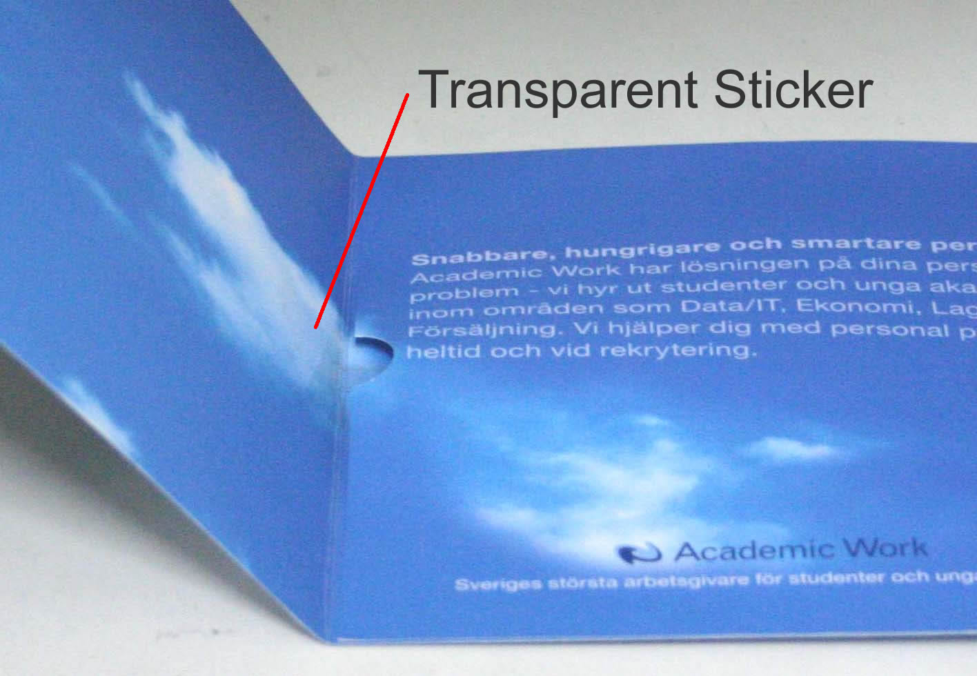 Greeting card modules, voice card modules, recording module