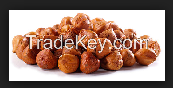 Raw Hazel Nuts