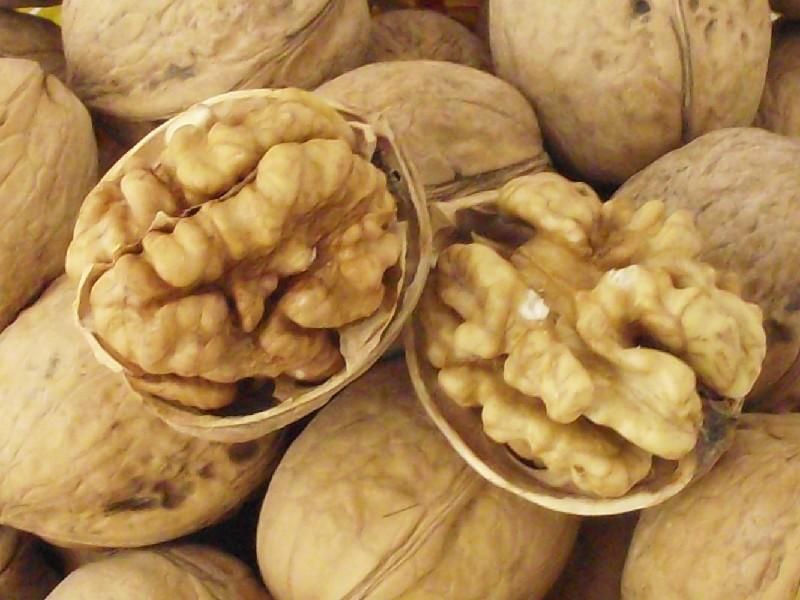 Walnut