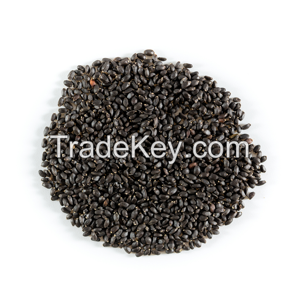 Basil Seeds