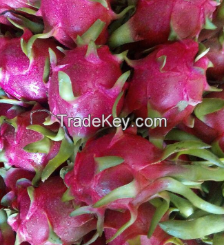 DRAGON FRUIT