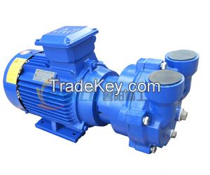 2BV series liquid ring pump