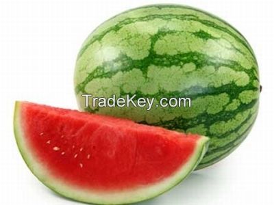 Water melon