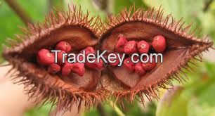 High quality and Fresh Organic Annatto Seeds