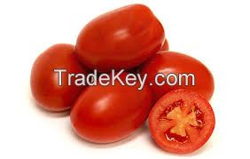 High Quality Fresh Organic Tomatoes