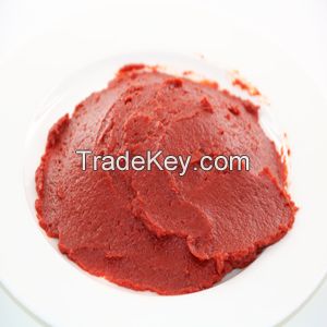 Fresh Tomato Puree ,Fruit Pulp  