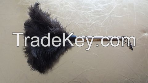 softer male black color ostrich feather duster