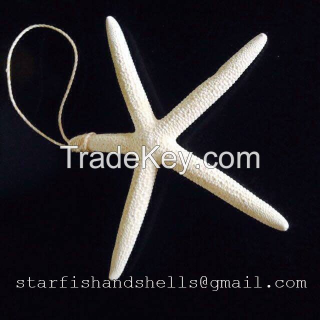 Finger Starfish Ornament Bleached