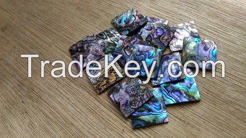 Sea Shell Inlays