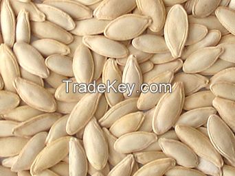 Pumpkin seeds