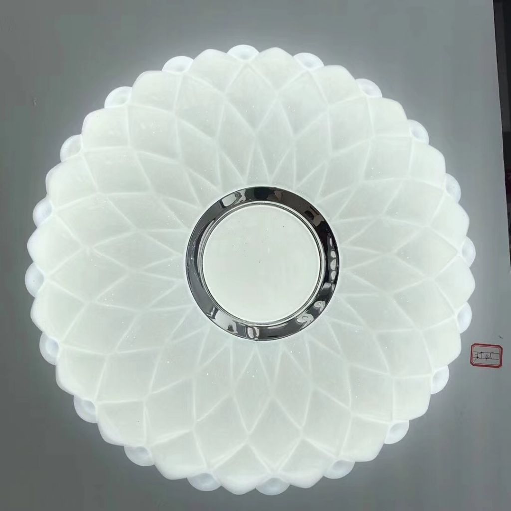 simplicity ceiling light