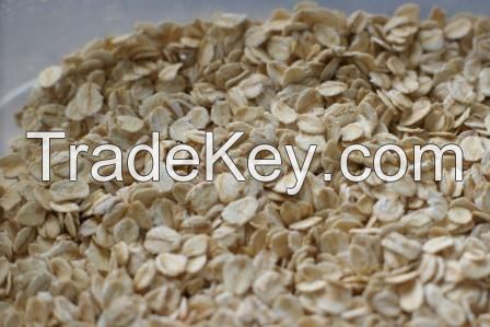 oat powder