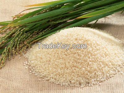 Vietnam Long Grain White Rice (Basmati &amp; Non Basmati)