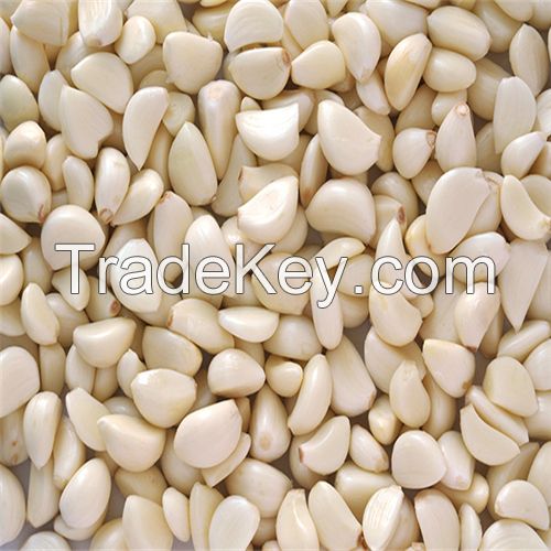 Hot sell Garlic clove