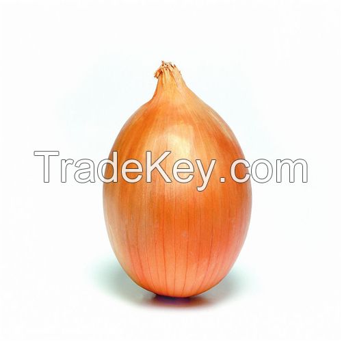 Hot Sell Fresh Onion