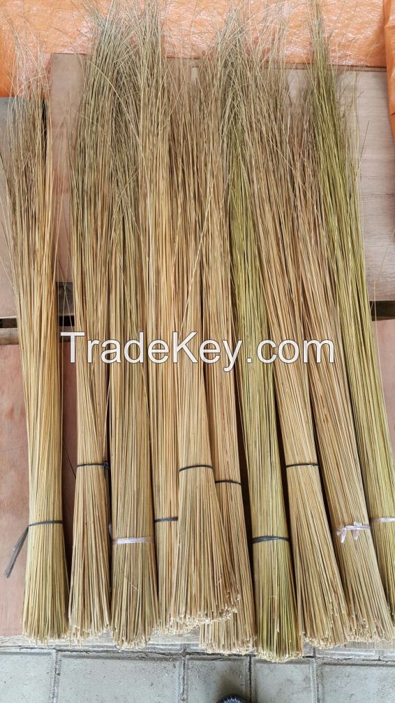 Palm ekel broomstick, coconut broomstick and nypa broomstick