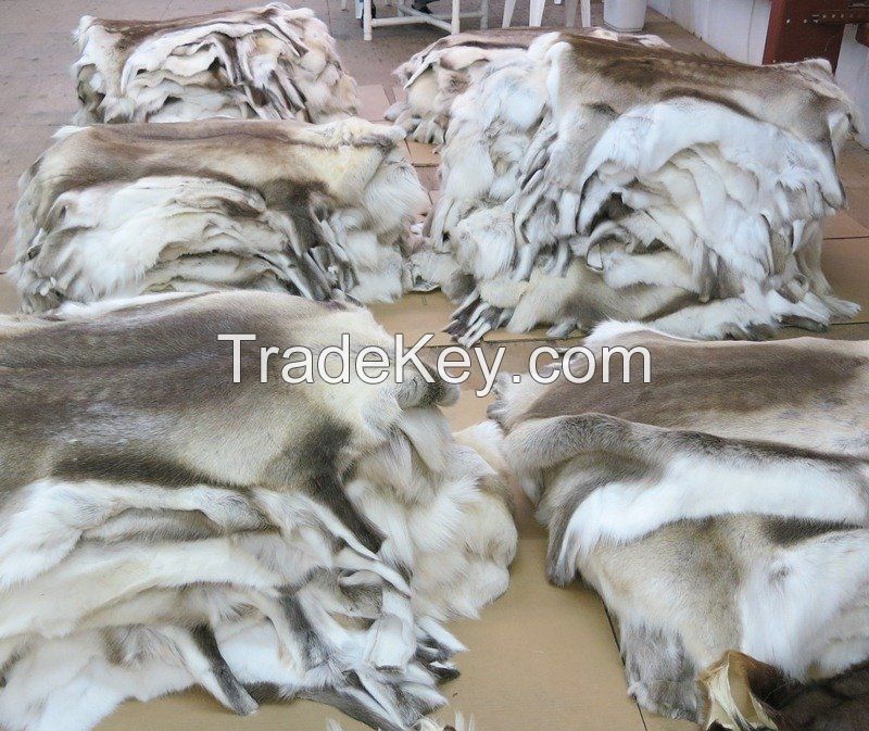 Reindeer Skins, Reindeer hides  from Kenya.