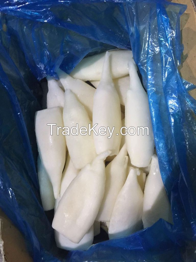 Sea Frozen | Fresh Frozen Squid Distributor