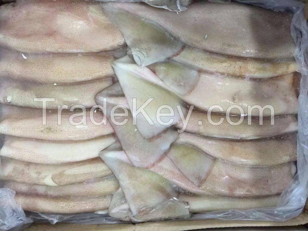 Sea Frozen | Fresh Frozen Squid Distributor